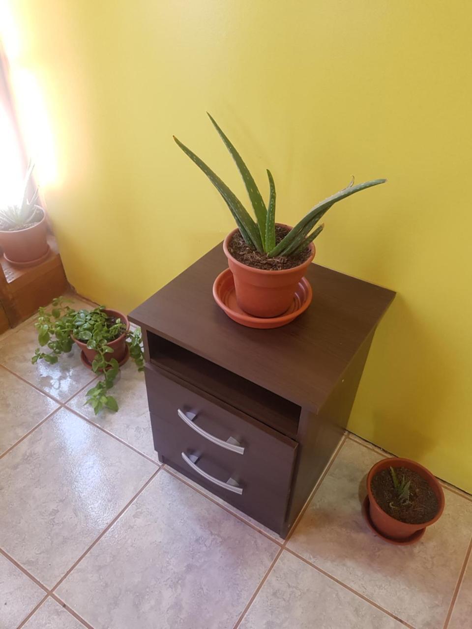 Departamento Luna Andina San Pedro De Atacama Zewnętrze zdjęcie